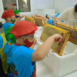 El mundo de la abejas en Cáceres