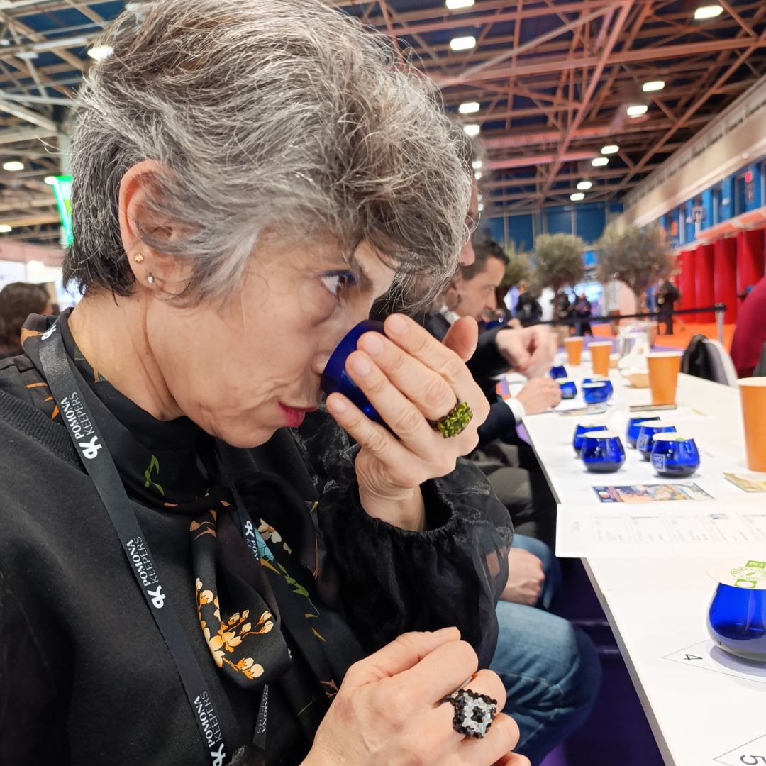 CÓMO CATAR ACEITE DE OLIVA VIRGEN EXTRA (AOVE) COMO UN EXPERTO: Guía Paso a Paso