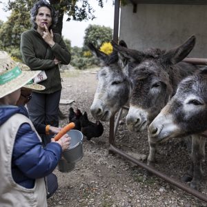 Un día en la Granja en Cáceres | Actividad para Niños | Los Encepados