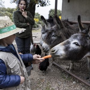 Un día en la Granja en Cáceres | Actividad para Niños | Los Encepados