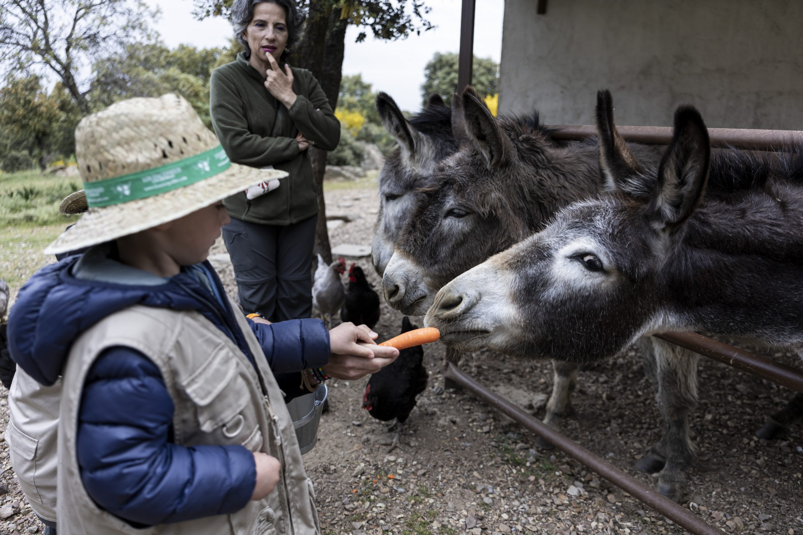 Un día en la Granja en Cáceres | Actividad para Niños | Los Encepados
