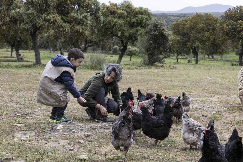 Un día en la Granja en Cáceres | Actividad para Niños | Los Encepados