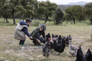 Un día en la Granja en Cáceres | Actividad para Niños | Los Encepados