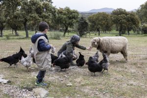 Un día en la Granja en Cáceres | Actividad para Niños | Los Encepados