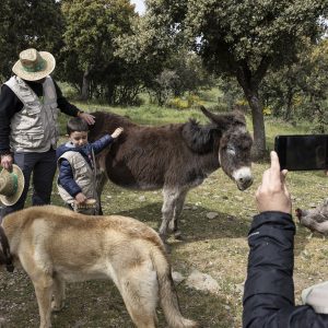 Un día en la Granja en Cáceres | Actividad para Niños | Los Encepados