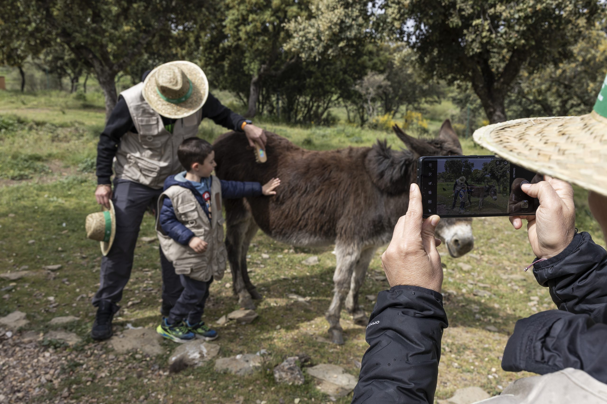 Un día en la granja