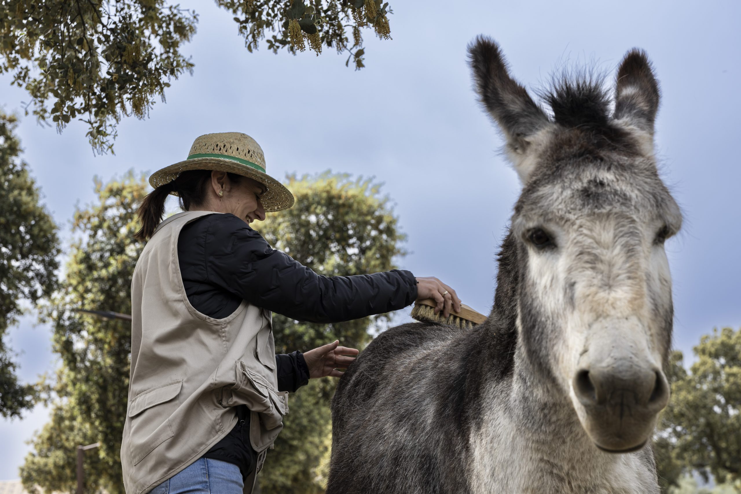 Un día en la Granja en Cáceres | Actividad para Niños | Los Encepados