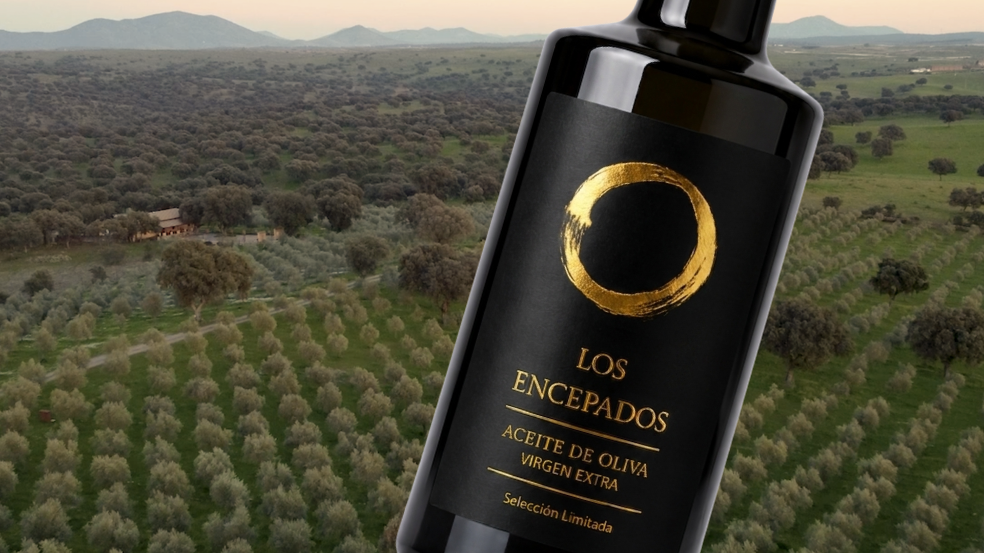 Oleoteca Los Encepados - Oro líquido y alta gastronomía