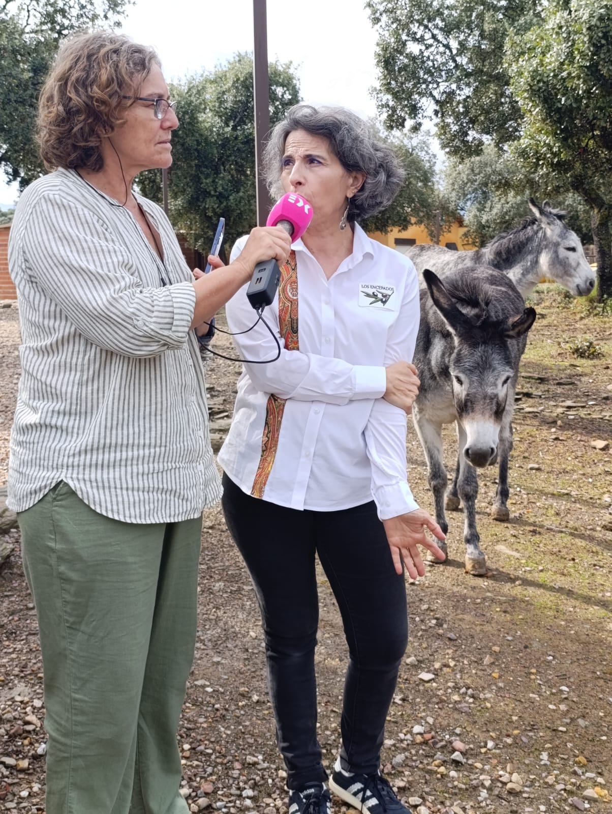 Canal Extremadura Radio: Hablamos sobre el Premio Nacional de Oleoturismo