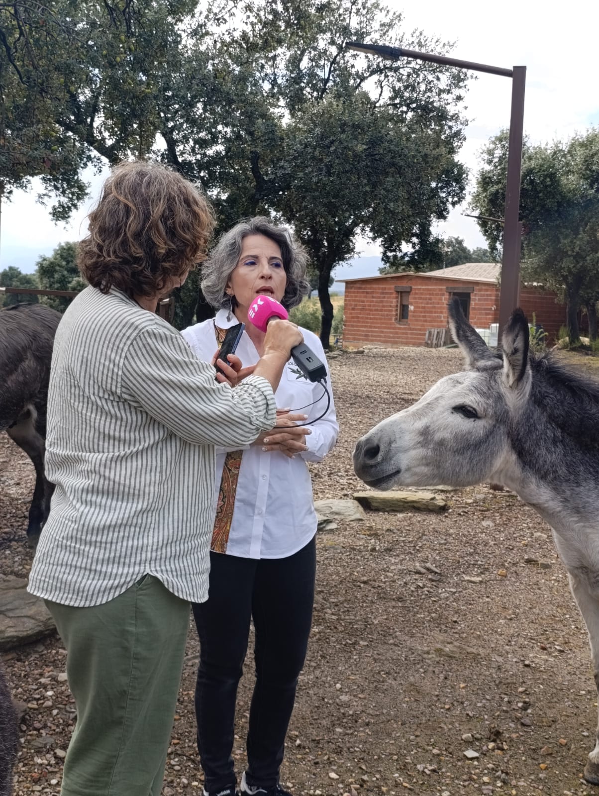 Mar entrevista Canal Extremadura Los Encepados