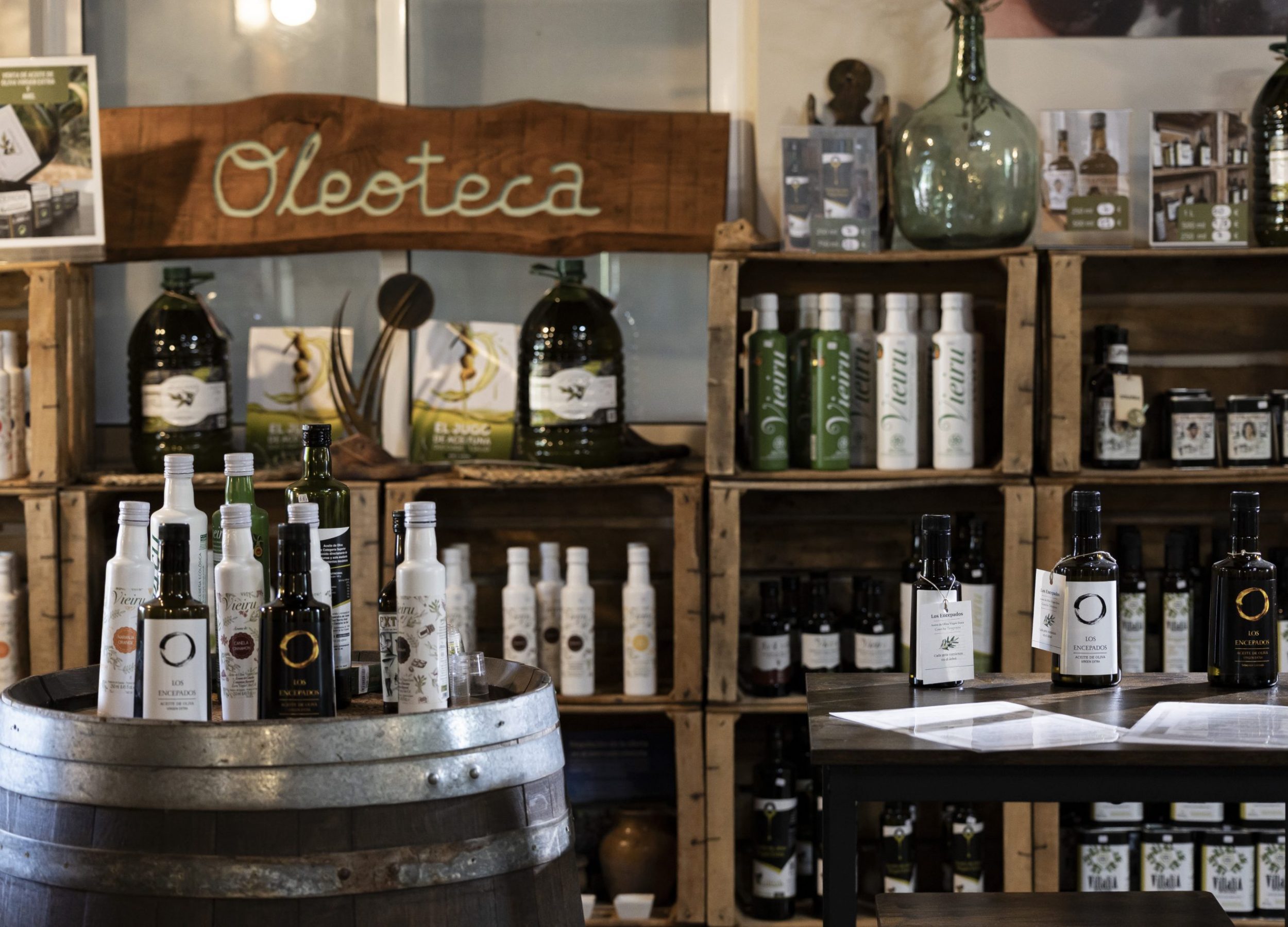 experiencia-cata-aceite-oliva-ecologico-caceres